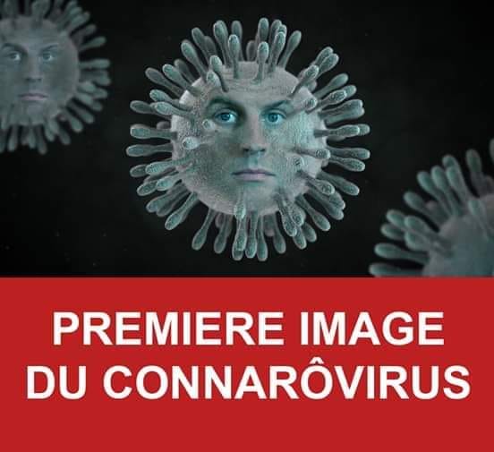 connard virus.jpg