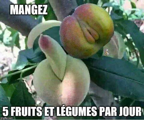 fruits legumes.jpg