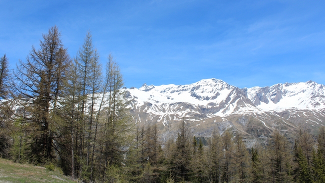 IMG_4065.JPG