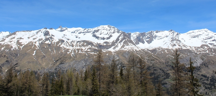 IMG_4068.JPG