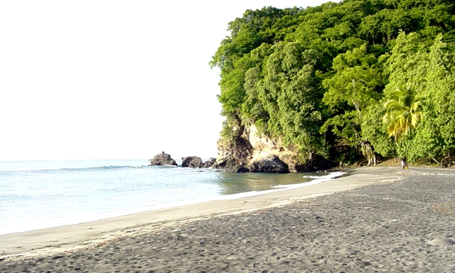 DSC03716.JPG