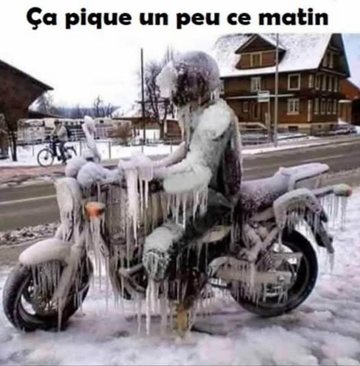 ça pique.jpg