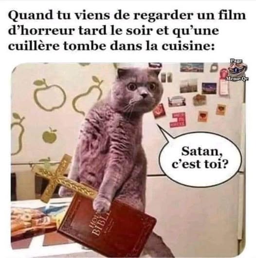 film.jpg