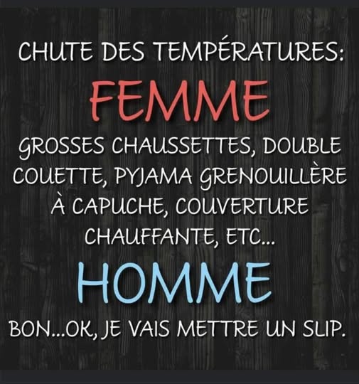 température.jpg