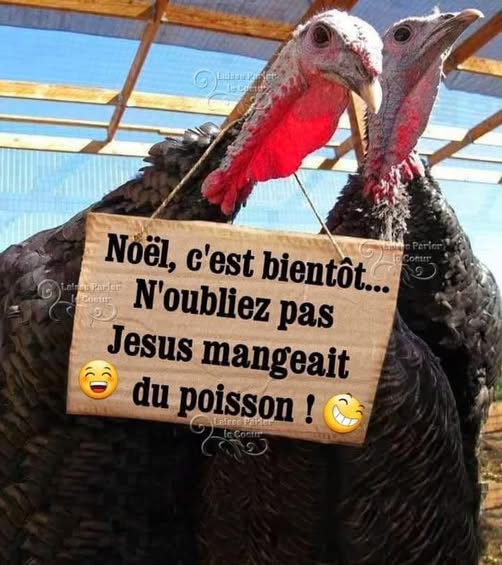 poisson.jpg