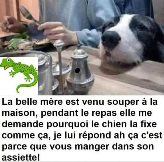 belle mere.jpg