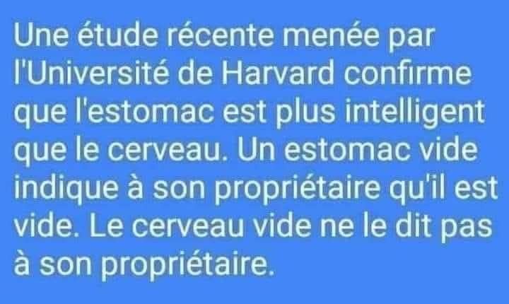 cerveau.jpg