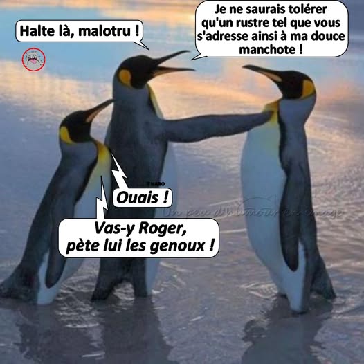 malotru.jpg