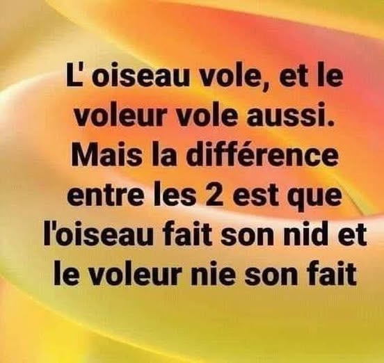vole.jpg