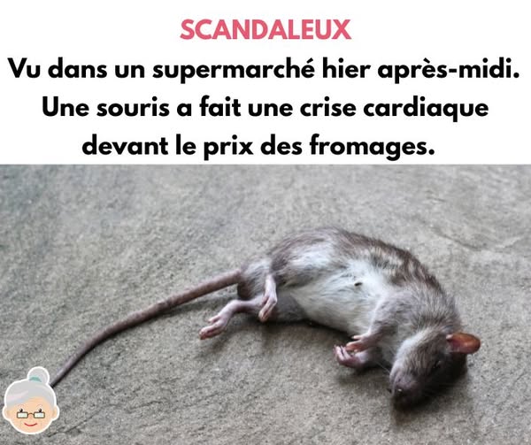 prix.jpg