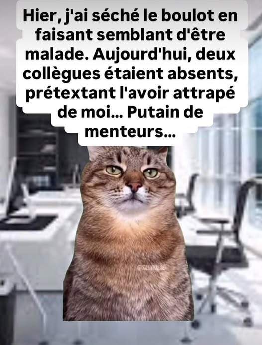 malade.jpg
