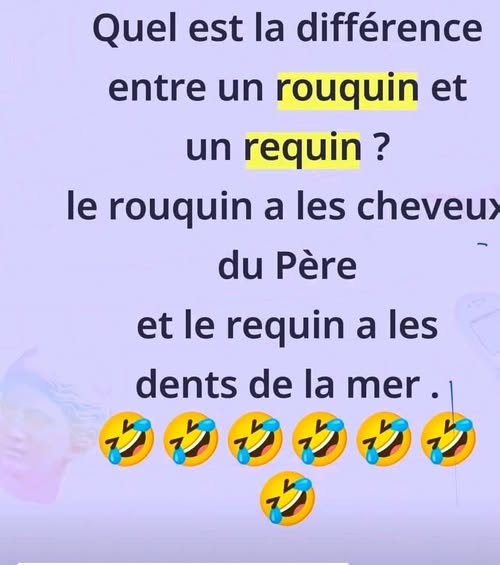 rouquin.jpg