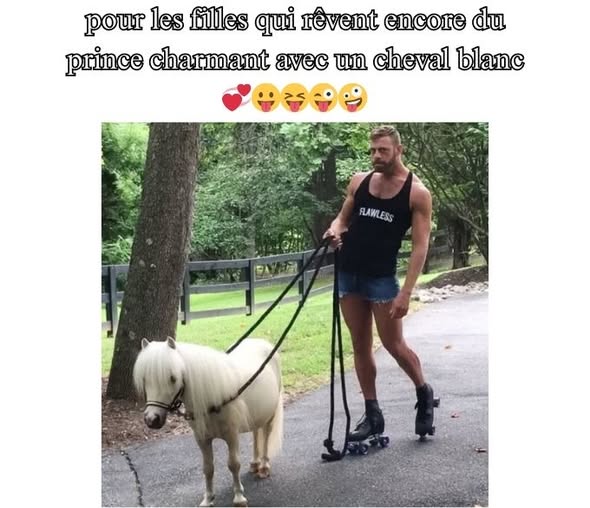 prince charmant.jpg