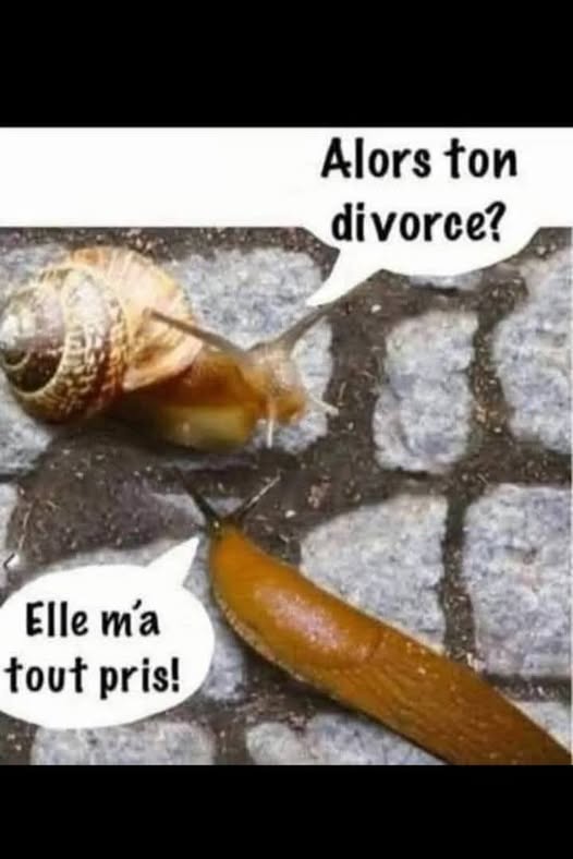 plus rien.jpg