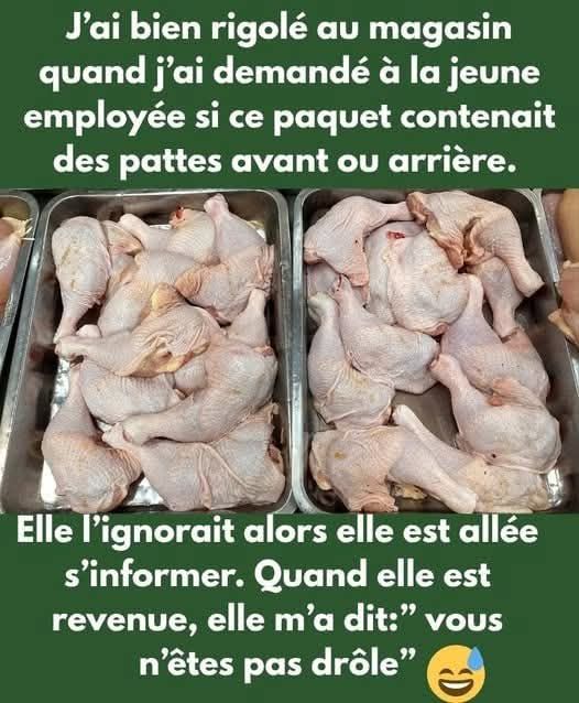 patte.jpg