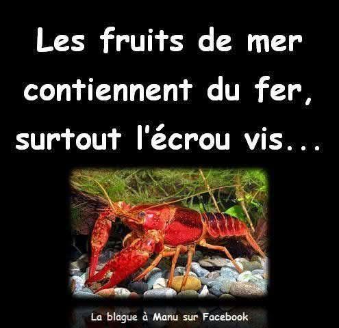 fruits mer.jpg