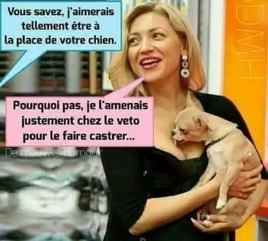 véto.jpg