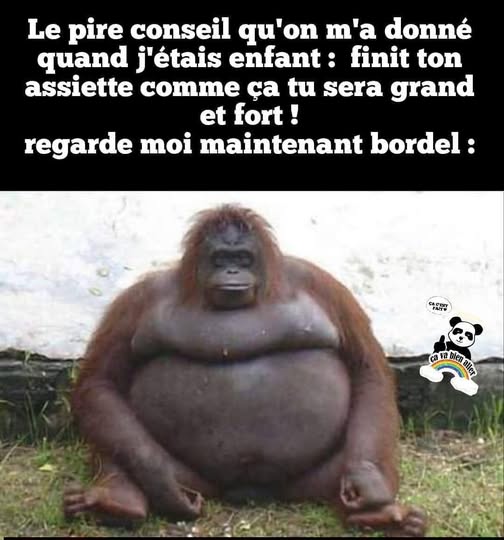pire conseil.jpg