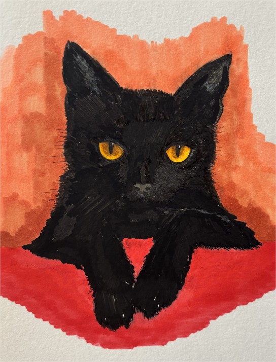 Le chat.jpg