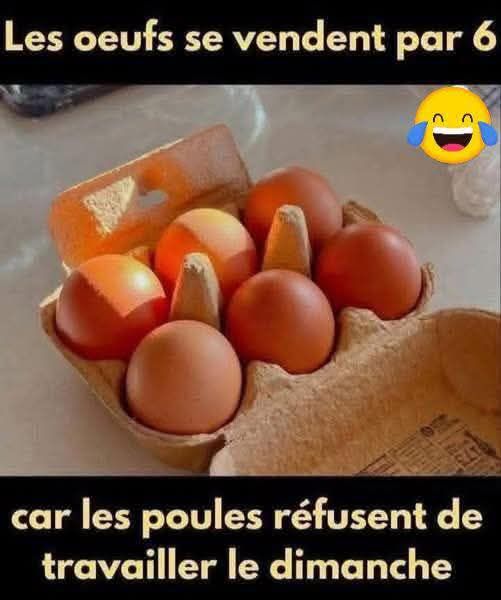 oeufs.jpg