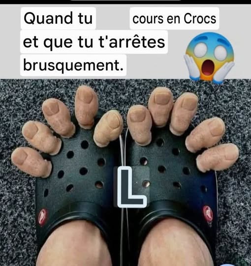 crocs.jpg