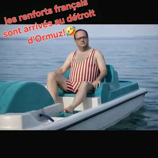 renforts.jpg