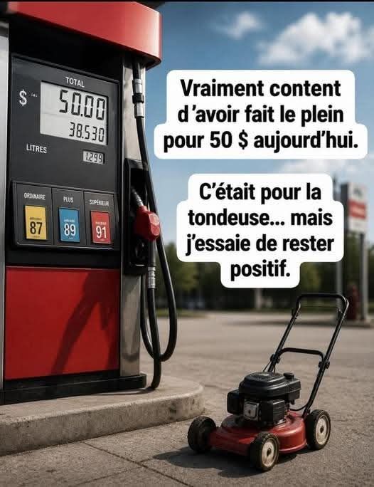 plein.jpg