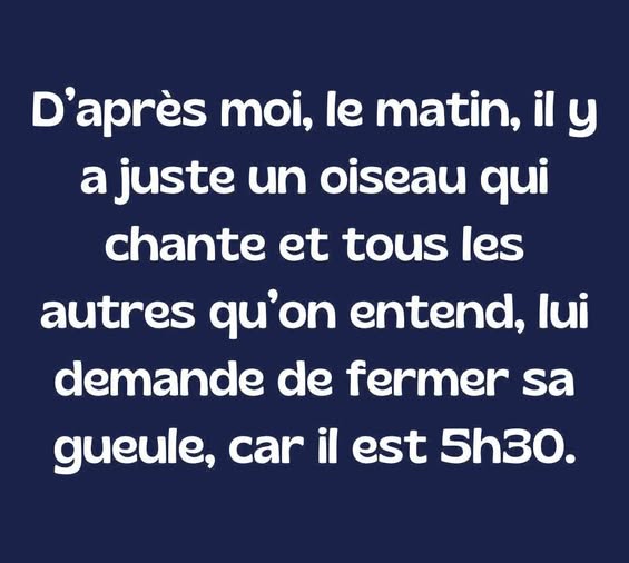 oiseaux.jpg