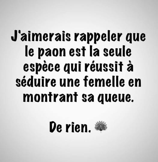 séduire.jpg