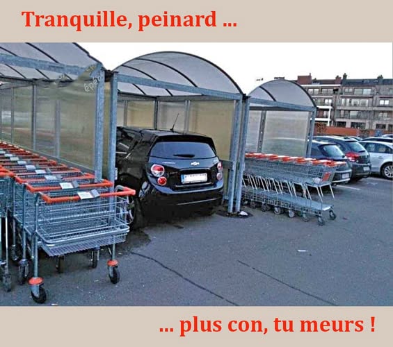 Sans titre.jpg