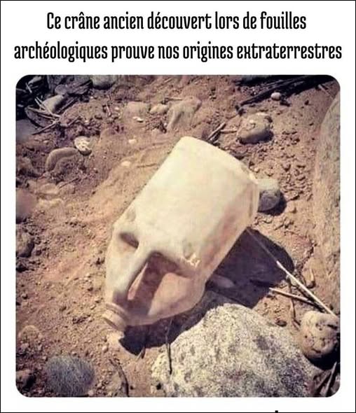 crâne.jpg