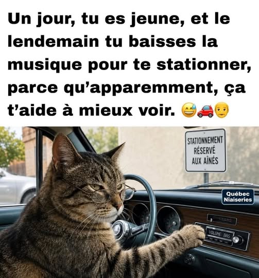 mieux voir.jpg