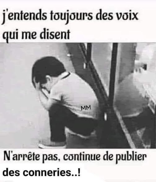 voix.jpg