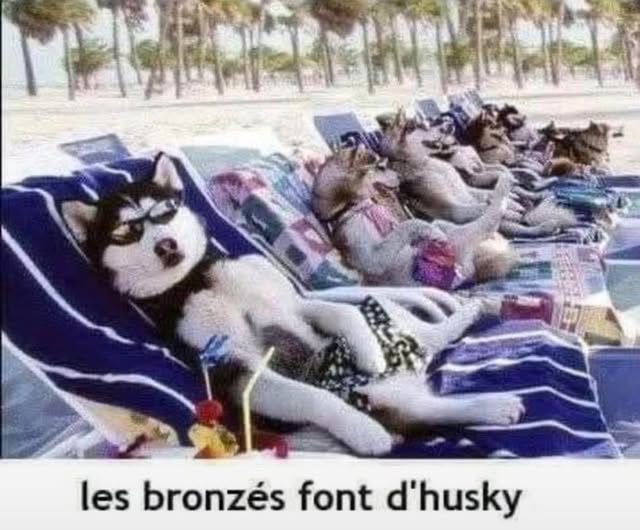 bronzé.jpg