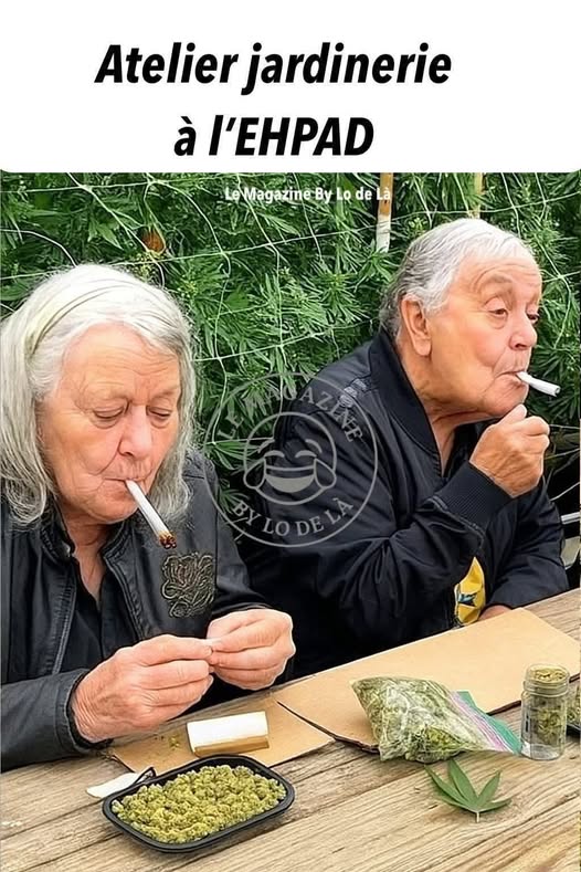 ehpad.jpg
