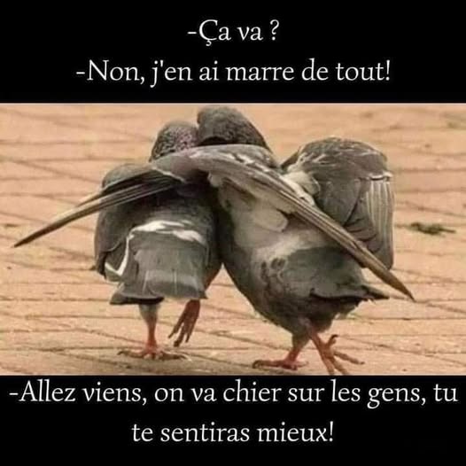 marre.jpg