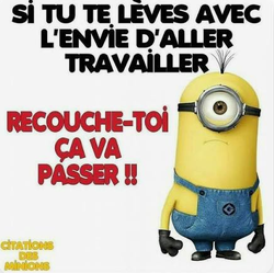 un minion corse.png