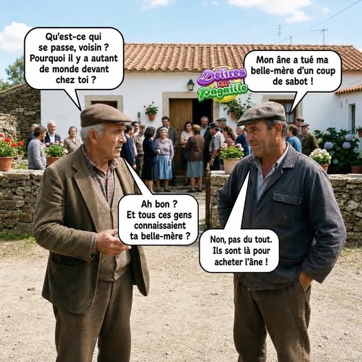 âne.jpg