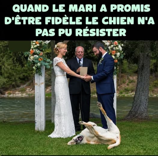 fidélité.jpg