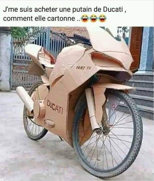 ducati.jpg