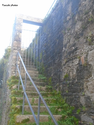 166.JPG