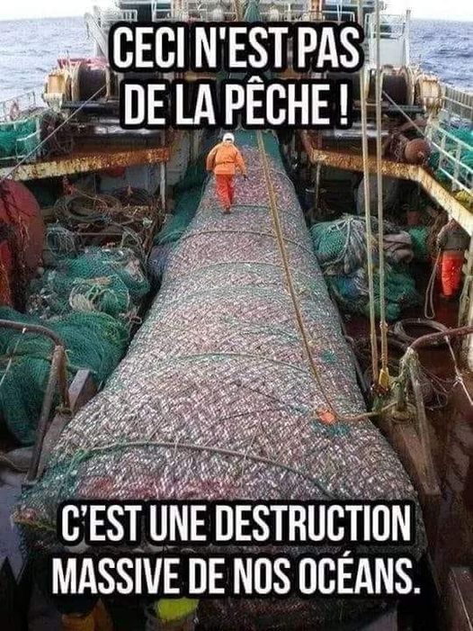 pèche.jpg