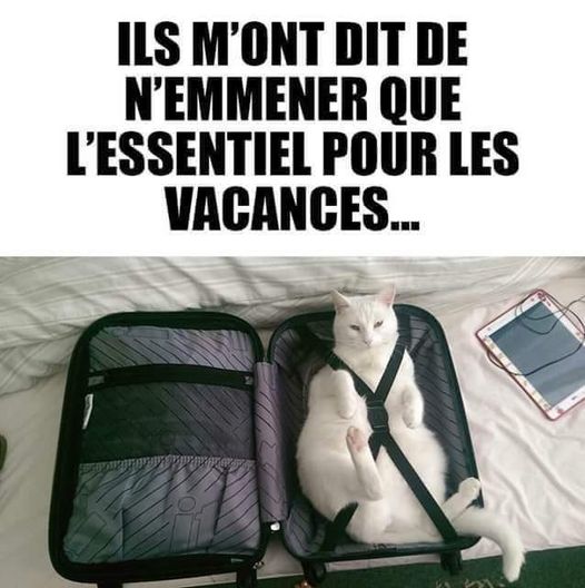 essentiel.jpg