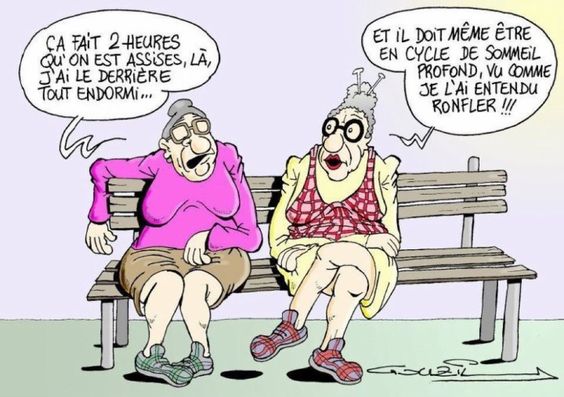 cycle sommeil.jpg
