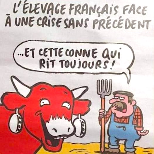qui rit.jpg