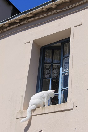 1 (744).JPG