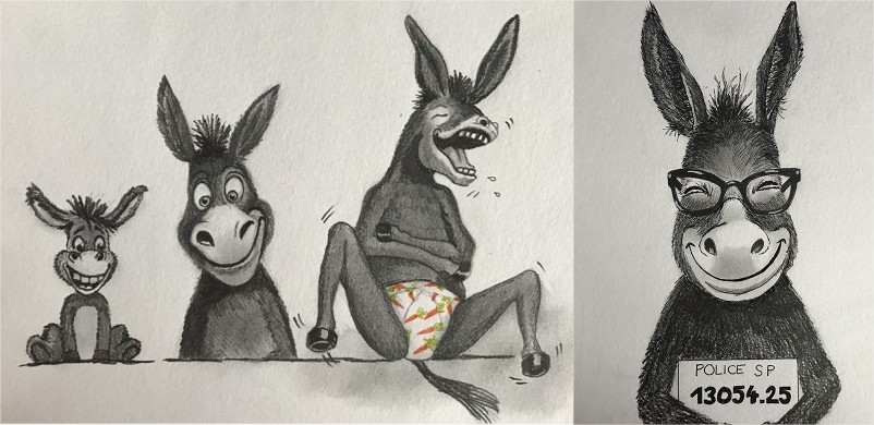 Évolution asine.jpg