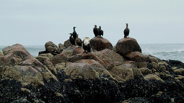 DSCF1561.JPG