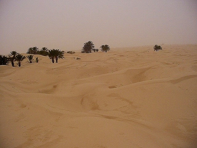 DSC00054.JPG